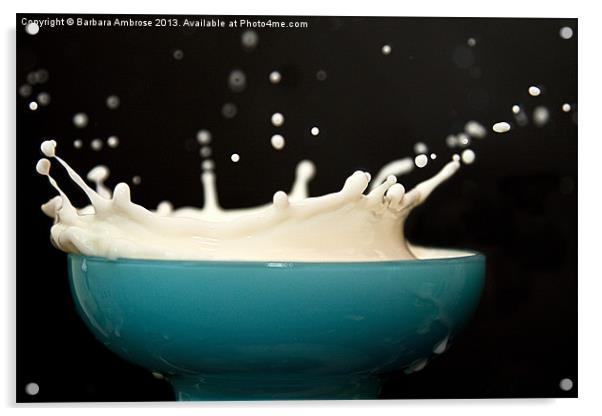 Milk Splash Acrylic by Barbara Ambrose