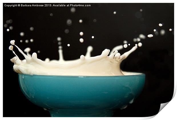 Milk Splash Print by Barbara Ambrose