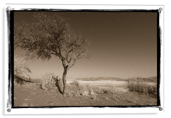 Namibian Trees 1 Acrylic by Alan Bishop
