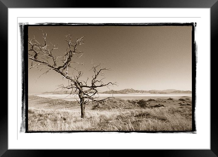 Namibian Trees 2 Framed Mounted Print by Alan Bishop