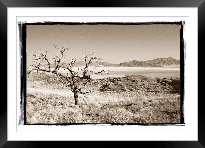 Namibian Trees 3 Framed Mounted Print by Alan Bishop
