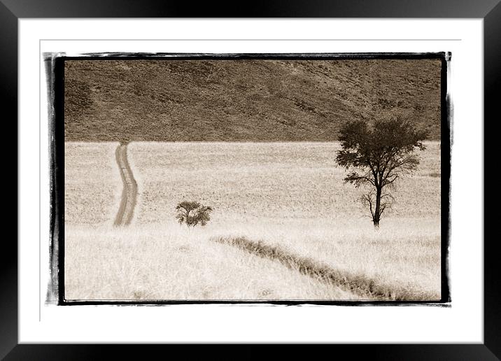 Namibian Trees 4 Framed Mounted Print by Alan Bishop