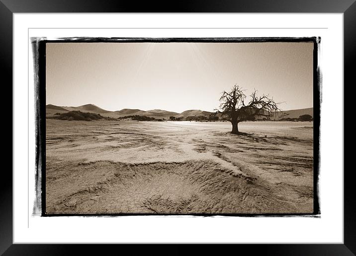 Namibian Trees 6 Framed Mounted Print by Alan Bishop