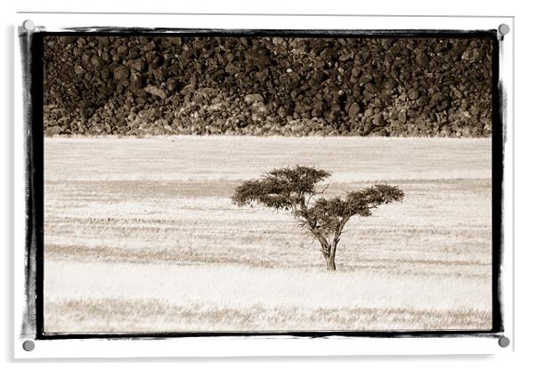 Namibian Trees 7 Acrylic by Alan Bishop