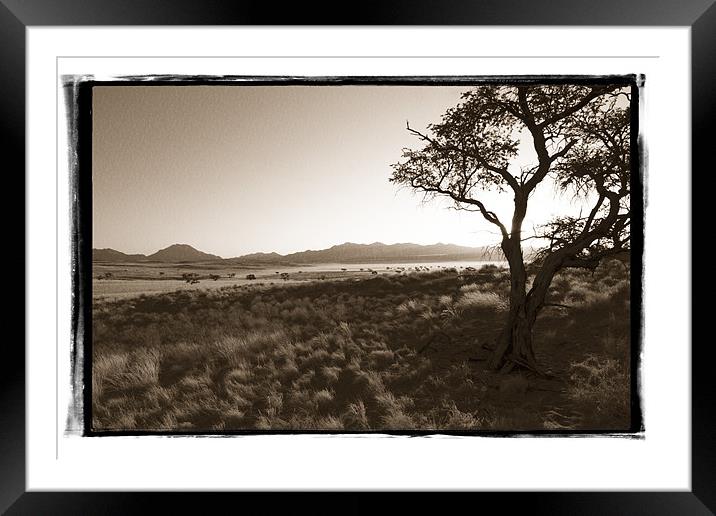 Namibian Trees 8 Framed Mounted Print by Alan Bishop