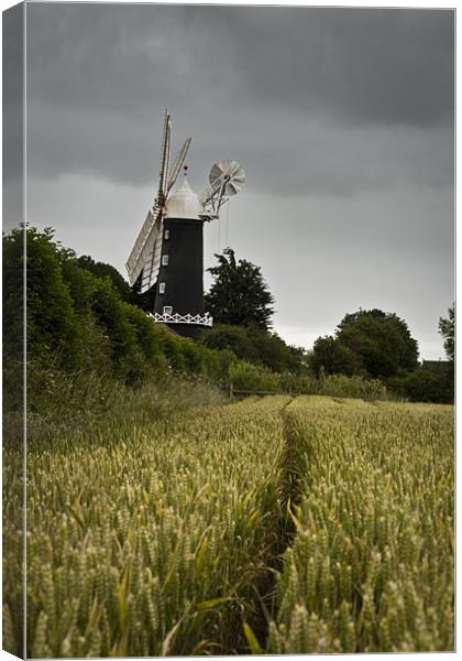 Skidby windmill Canvas Print by Leon Conway