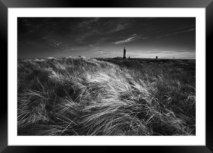 Spurn point light house Framed Mounted Print by Leon Conway