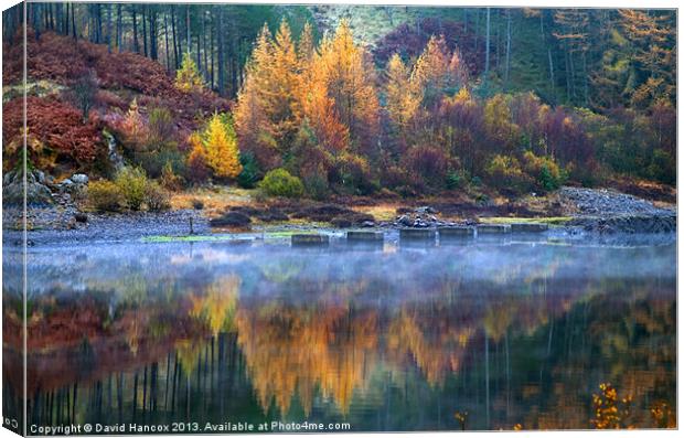 Autumn Reflections Canvas Print by David Hancox