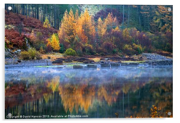 Autumn Reflections Acrylic by David Hancox