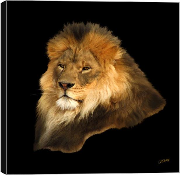 Lion Canvas Print by Debra Kelday