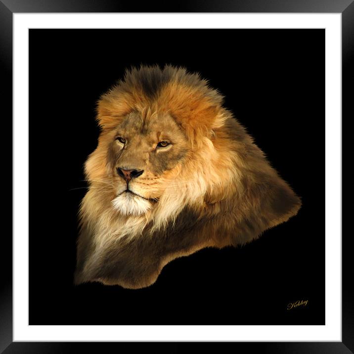 Lion Framed Mounted Print by Debra Kelday