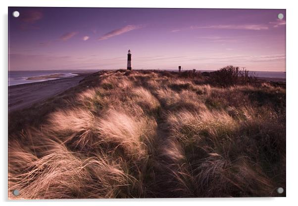 Spurn point sunset Acrylic by Leon Conway