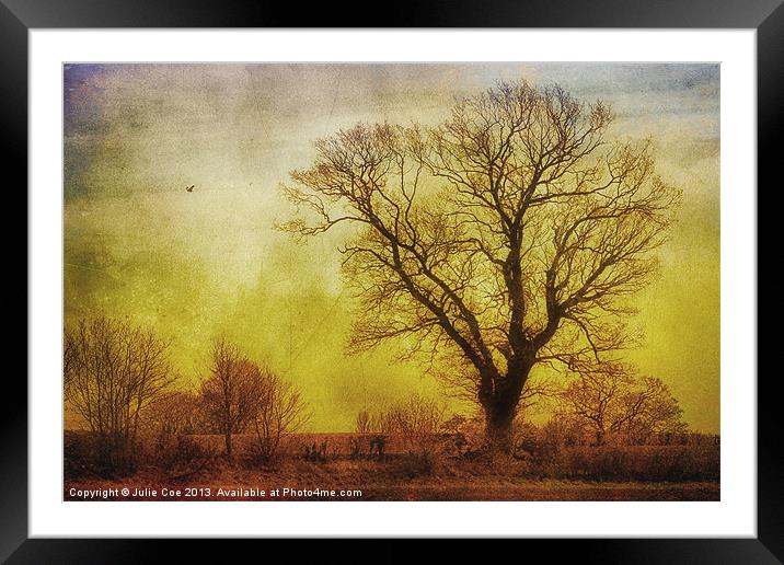 Tree Framed Mounted Print by Julie Coe