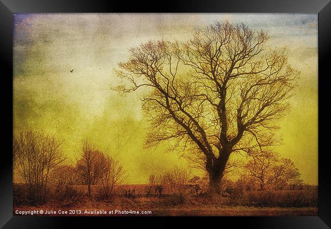 Tree Framed Print by Julie Coe