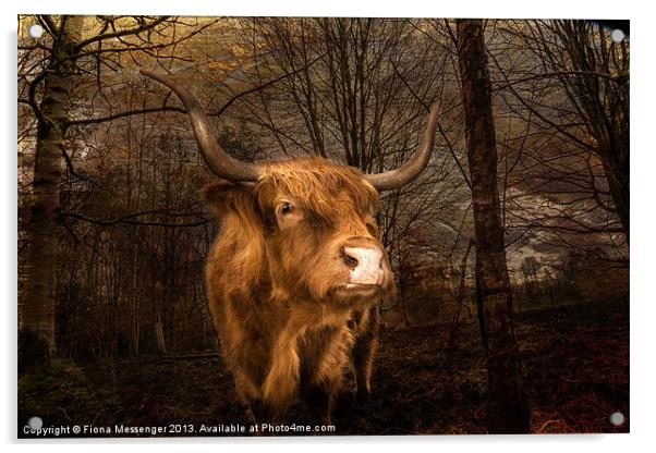 Highland Toffee Coo Acrylic by Fiona Messenger