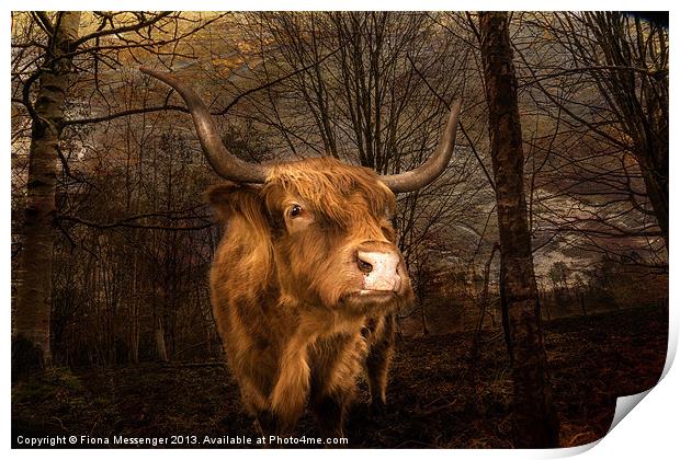 Highland Toffee Coo Print by Fiona Messenger