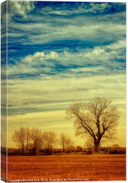 Under the Clouds Canvas Print by Julie Coe