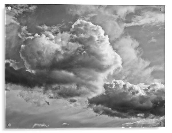 Monochrome Sky Acrylic by David Pyatt