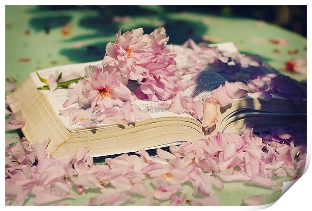 Spring Reading Print by Castleton Photographic