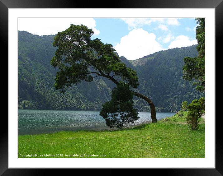The tree by the lake Framed Mounted Print by Lee Mullins