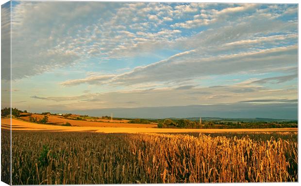 Looking Good For The Harvest Canvas Print by graham young