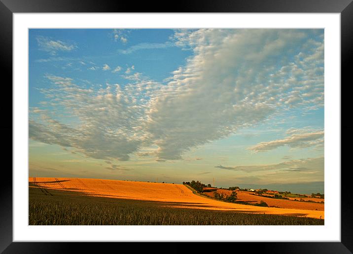 The Warm Evening Light Framed Mounted Print by graham young