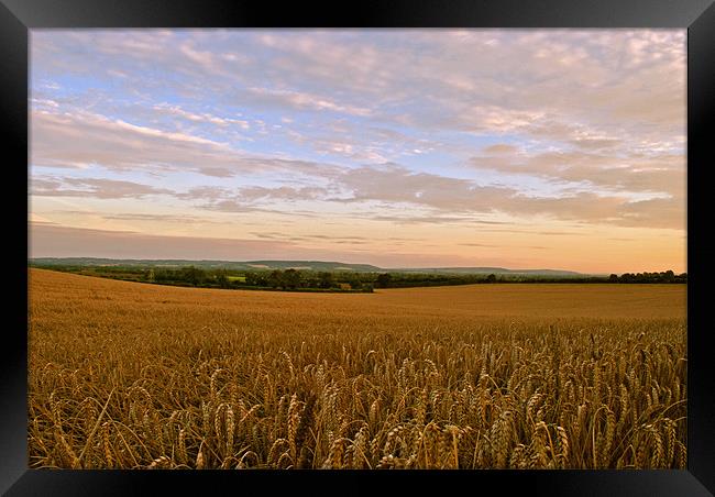 The End of the Day Framed Print by graham young