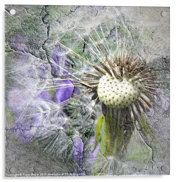 The Dandelion Cracked Acrylic by Roger Butler