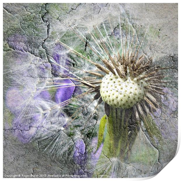 The Dandelion Cracked Print by Roger Butler