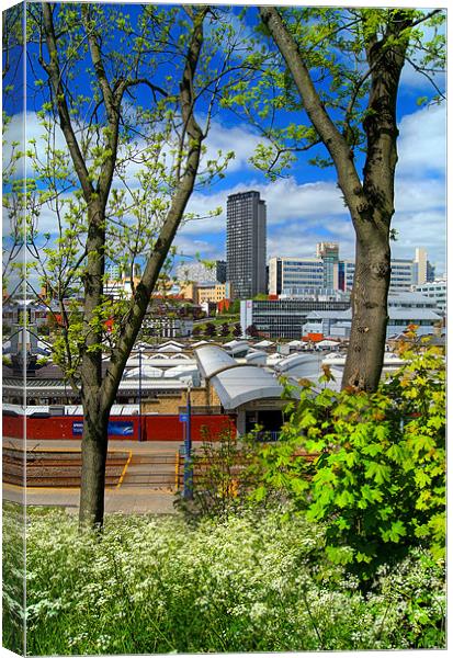 Springtime in Sheffield Canvas Print by Darren Galpin