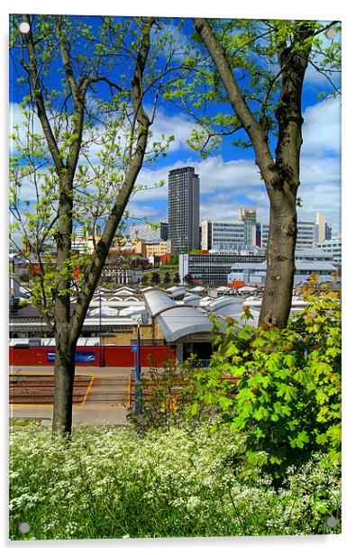 Springtime in Sheffield Acrylic by Darren Galpin