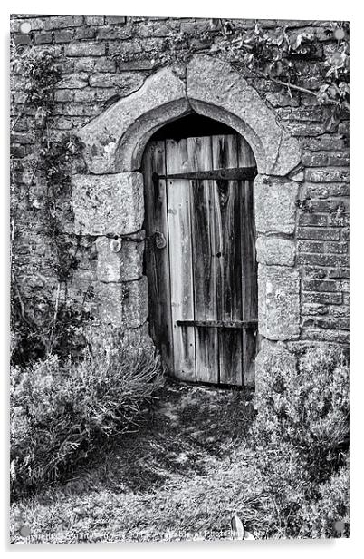 Secret Doorway Acrylic by Stuart Gennery