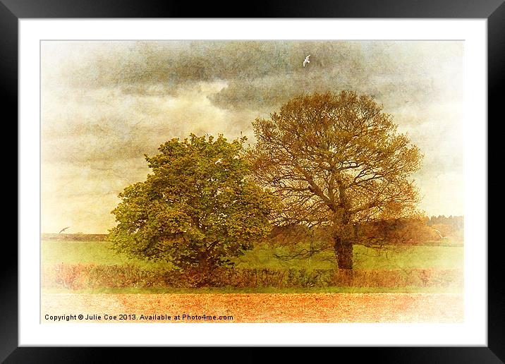 Trees and Seagulls Framed Mounted Print by Julie Coe