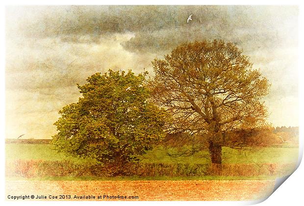 Trees and Seagulls Print by Julie Coe