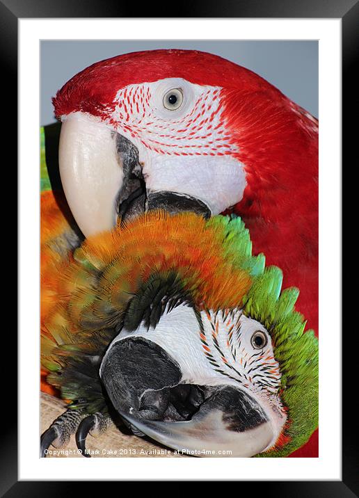 Best of friends Framed Mounted Print by Mark Cake