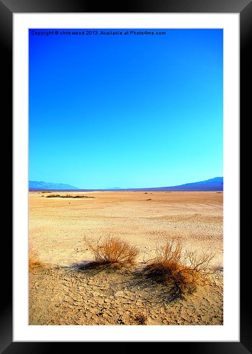 Life in Death (valley) Framed Mounted Print by chris wood