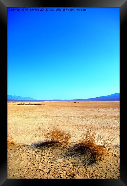 Life in Death (valley) Framed Print by chris wood