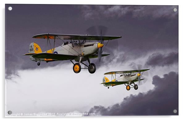 Hawker Nimrod II Acrylic by J Biggadike