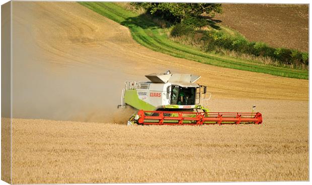 Combine Harvesting! Canvas Print by graham young