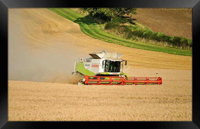 Combine Harvesting! Framed Print by graham young