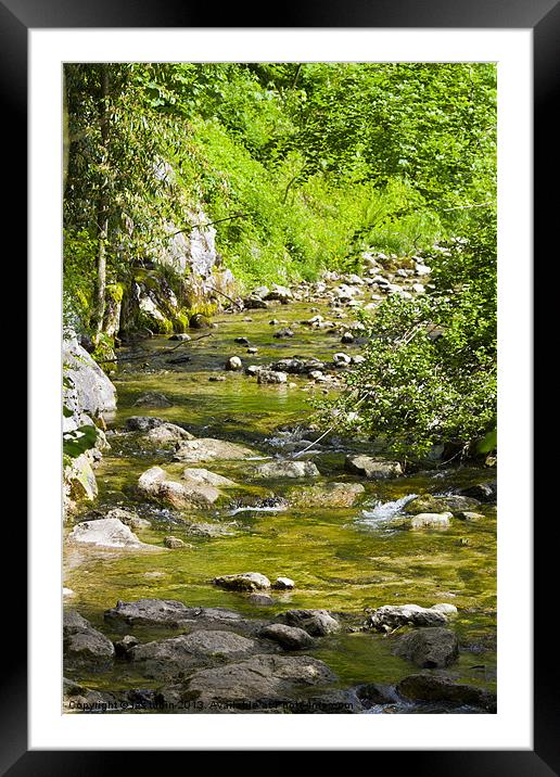 Babbling Brook Framed Mounted Print by les tobin