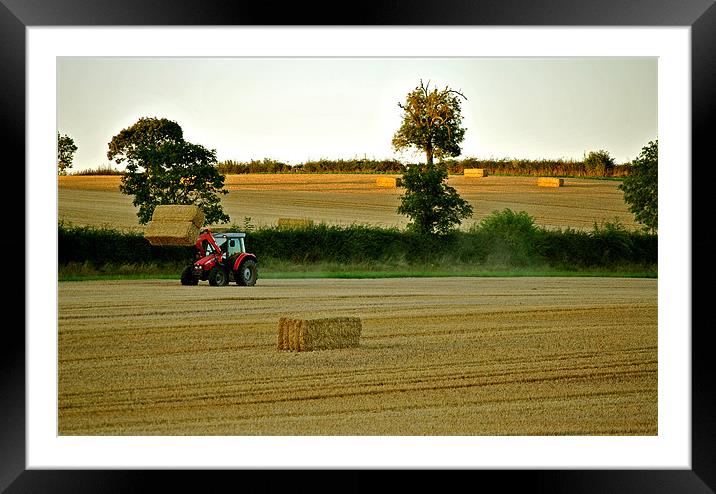 After the Harvest Framed Mounted Print by graham young