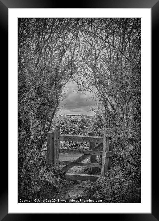 Under and Through BW Framed Mounted Print by Julie Coe
