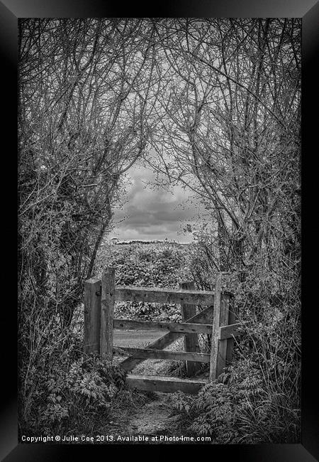 Under and Through BW Framed Print by Julie Coe
