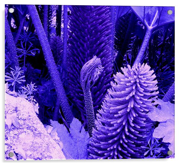 Jurassic Park Purple Acrylic by Heather Gale