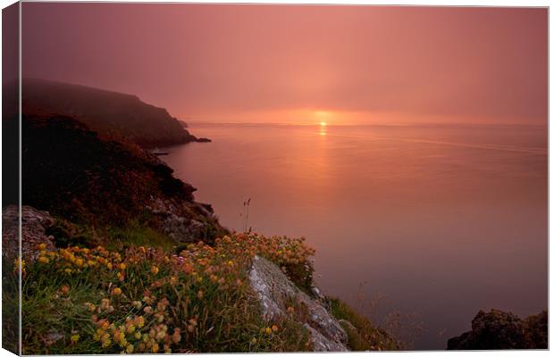 MiSt Pembrokeshire Sunset Canvas Print by David Tyrer