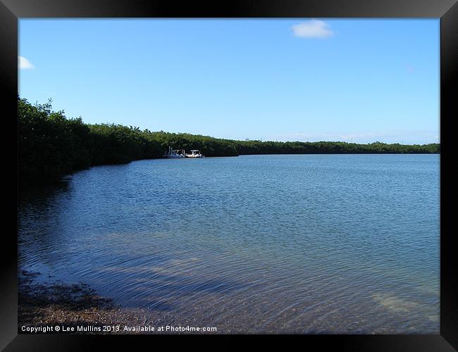 Mangrove Bay Framed Print by Lee Mullins