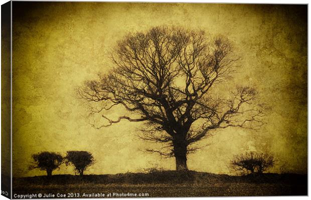 Darkened Tree Canvas Print by Julie Coe