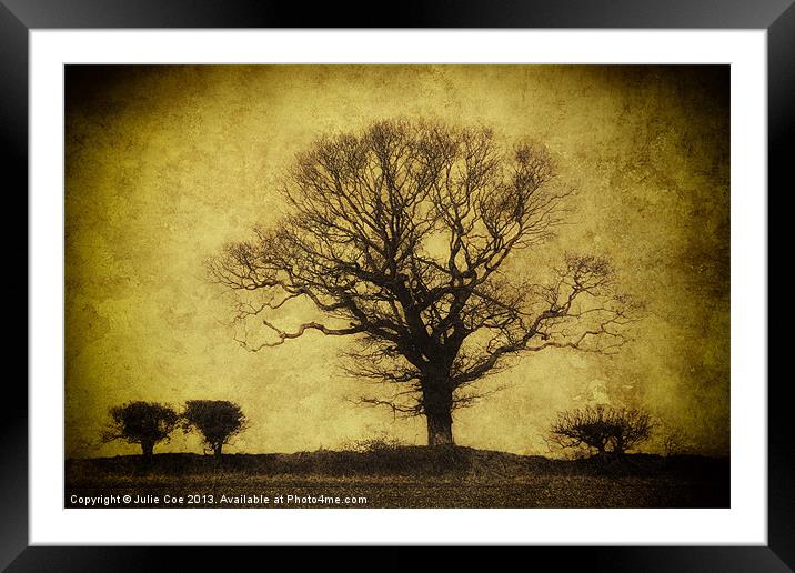 Darkened Tree Framed Mounted Print by Julie Coe