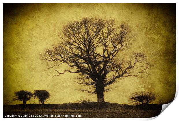 Darkened Tree Print by Julie Coe
